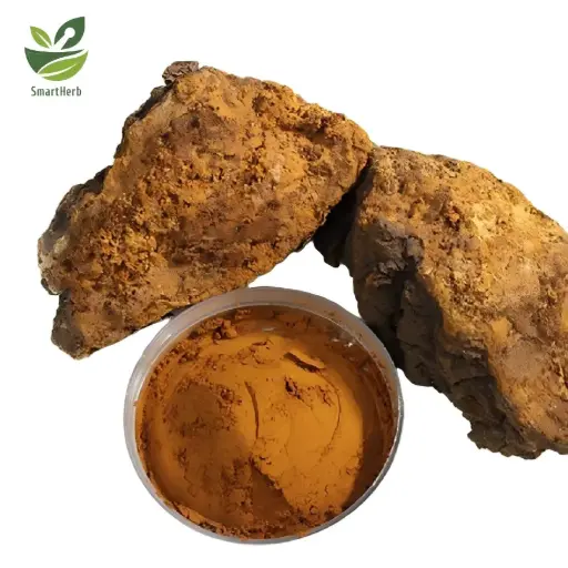 [SH0260701a] HerbGuard™ Chaga Powder EC Standard