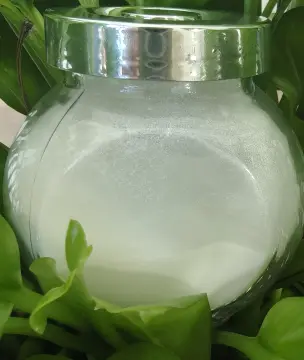 [SH07009b] Apple Cider Vinegar powder 10% Acetic Acid